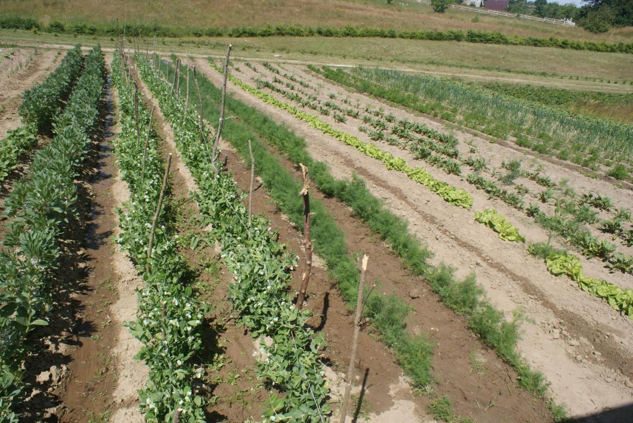 Agrodomki Okej-Bialy Dom Gardna Wielka Exterior foto