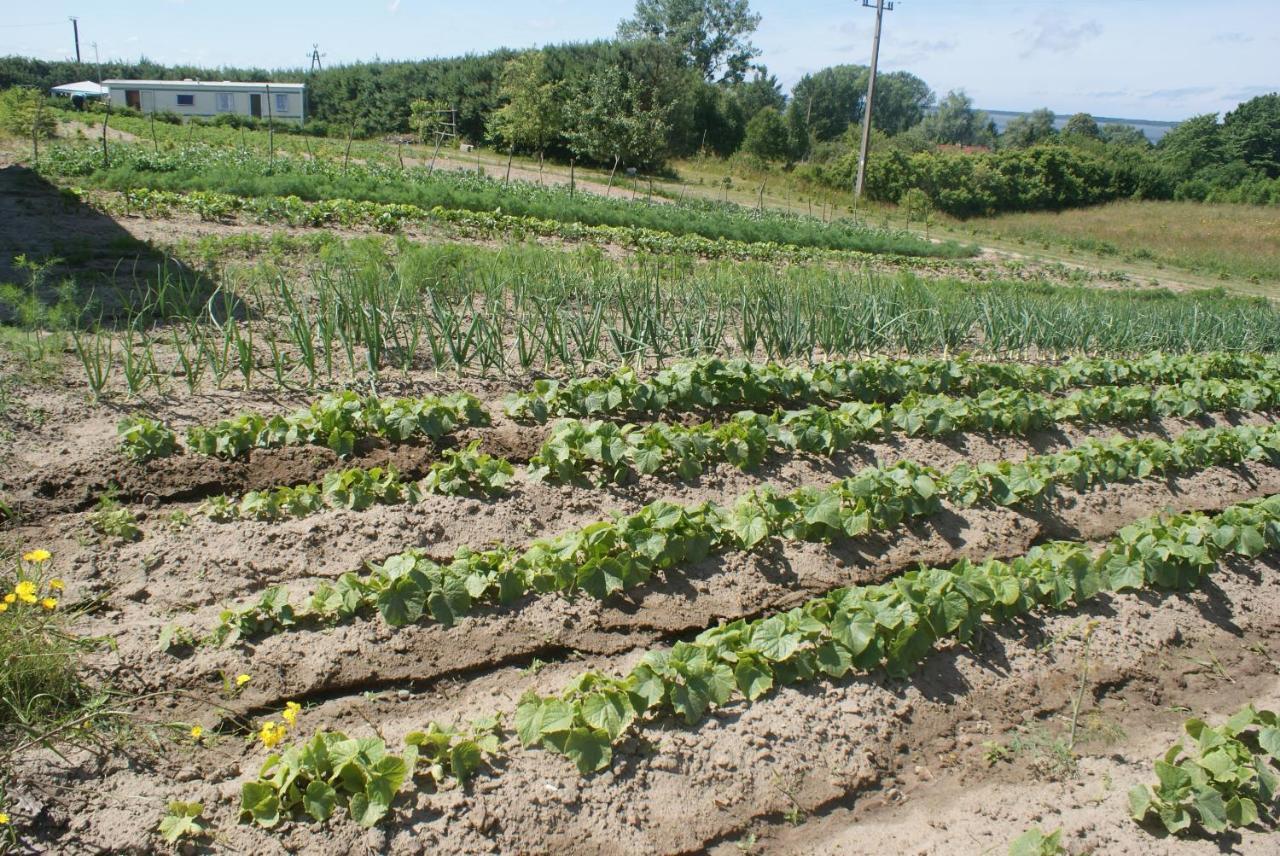 Agrodomki Okej-Bialy Dom Gardna Wielka Exterior foto